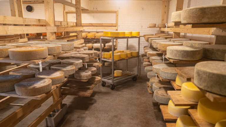 Governo de SP lança Rota do Queijo Paulista para impulsionar produção artesanal, turismo e desenvolvimento em diversas regiões