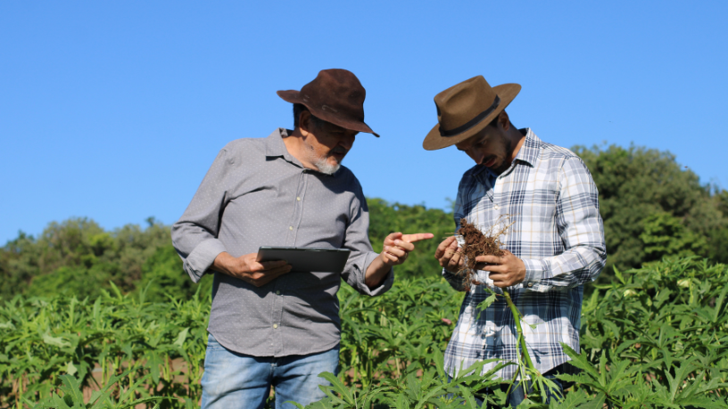 Sustentabilidade e agropecuária caminham juntas no campo segundo Hebron Costa Cruz de Oliveira.