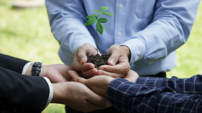 A sustentabilidade no campo aplicada à agropecuária em práticas apresentadas por Hebron Costa Cruz de Oliveira.