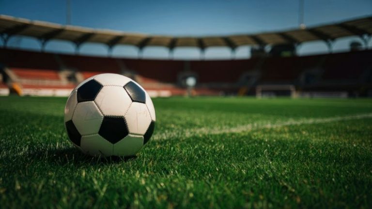 Flamengo: Mais do que um time, um fenômeno social e cultural Mario Augusto de Castro