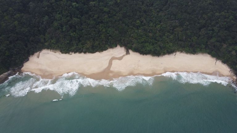 O que muda para quem vive e visita o Litoral Norte paulista com o novo plano costeiro Vista aérea da Praia do Bonete, em Ilhabela, com faixa de areia, mar e vegetação nativa.